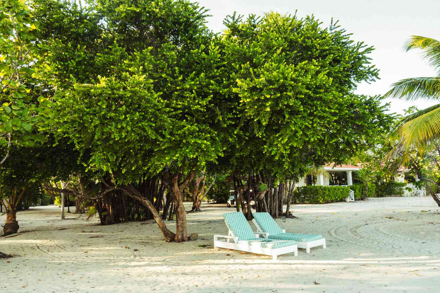 20 of the Best Things to Do in Belize