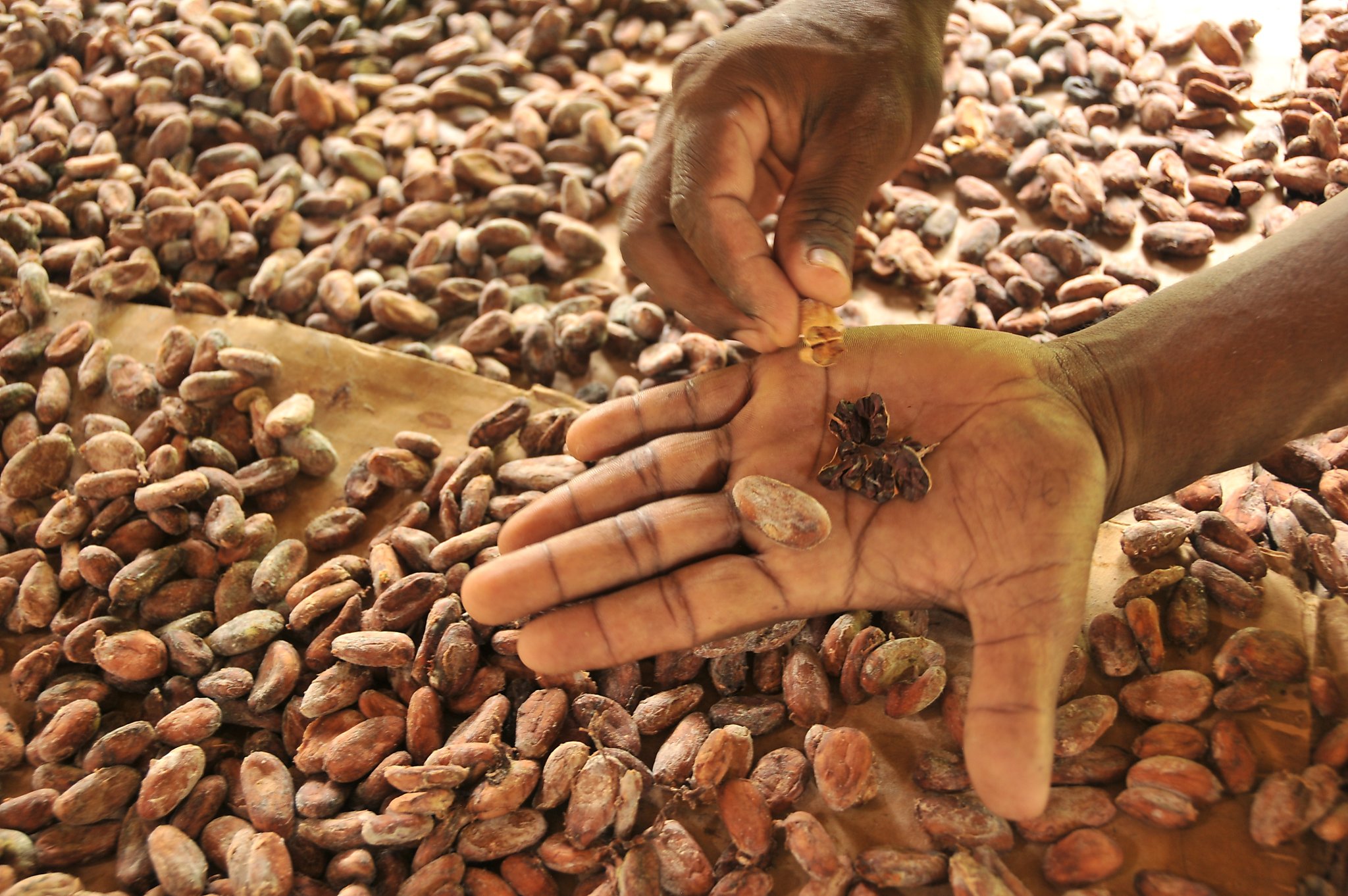 Belize's Toledo region: chocolate, culture and curiosities